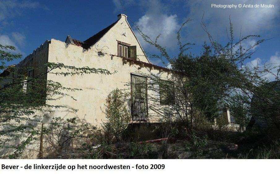 20. Bever linkerzijde op het noordwesten 2009